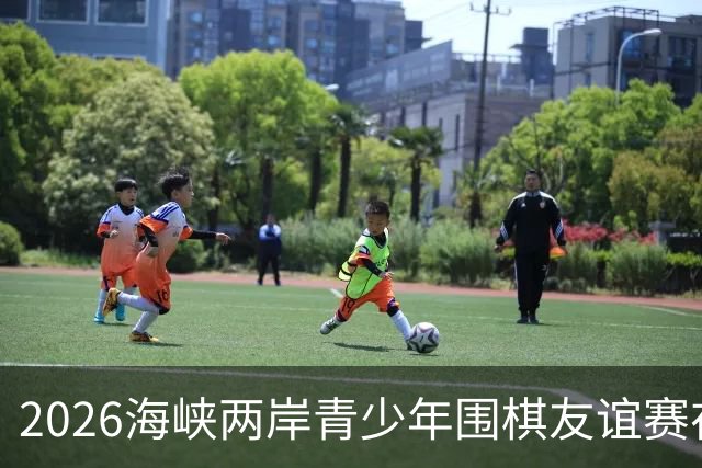 2026海峡两岸青少年围棋友谊赛在厦门开幕